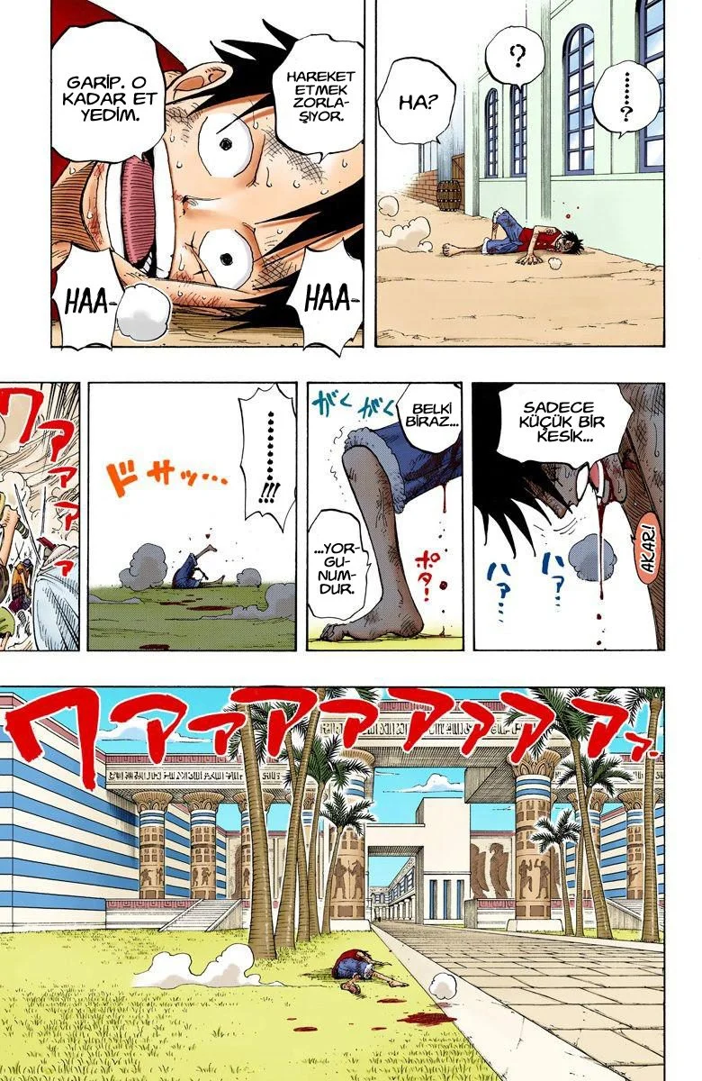 One Piece - Bölüm 202 - Sayfa 17