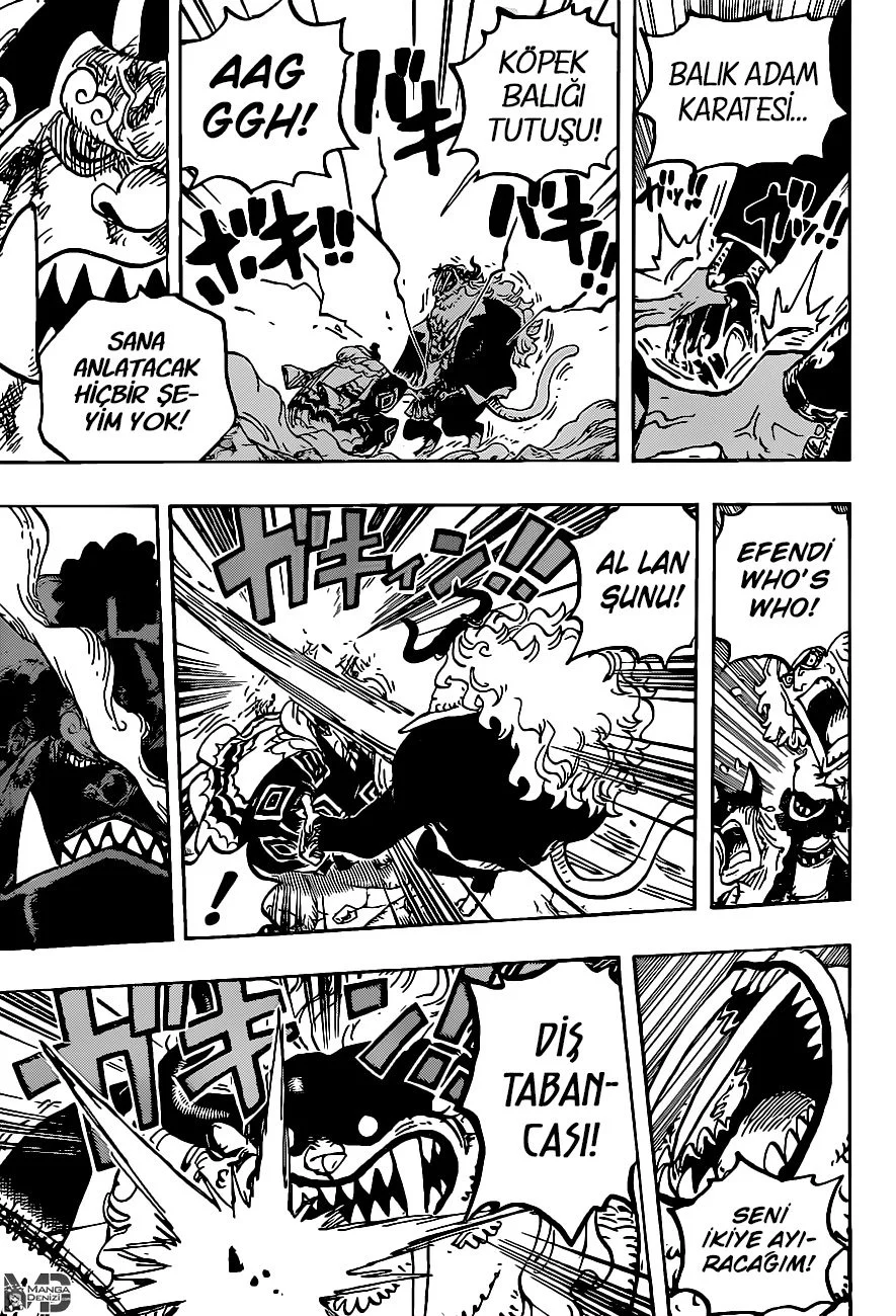 One Piece - Bölüm 1018 - Sayfa 15