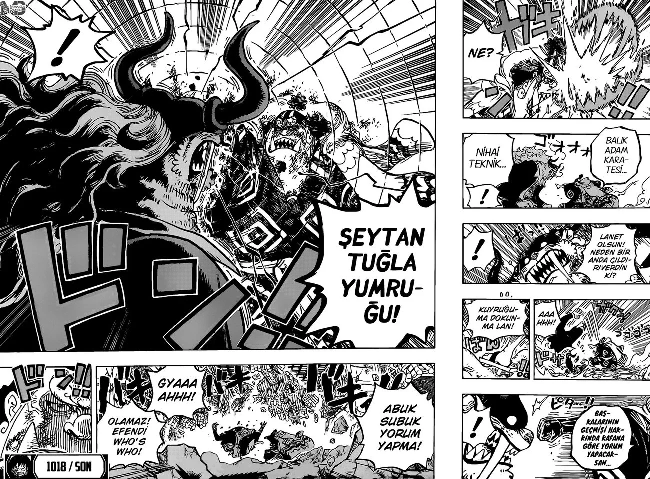 One Piece - Bölüm 1018 - Sayfa 16