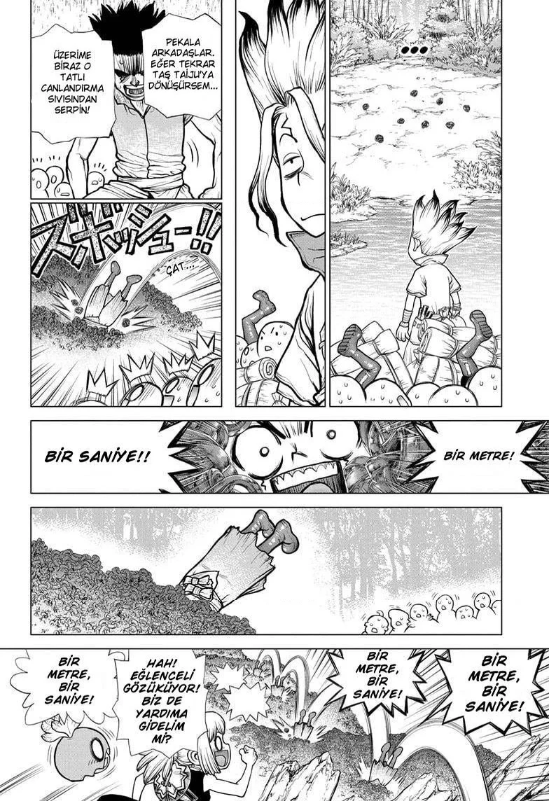 Dr. Stone - Bölüm 181 - Sayfa 5