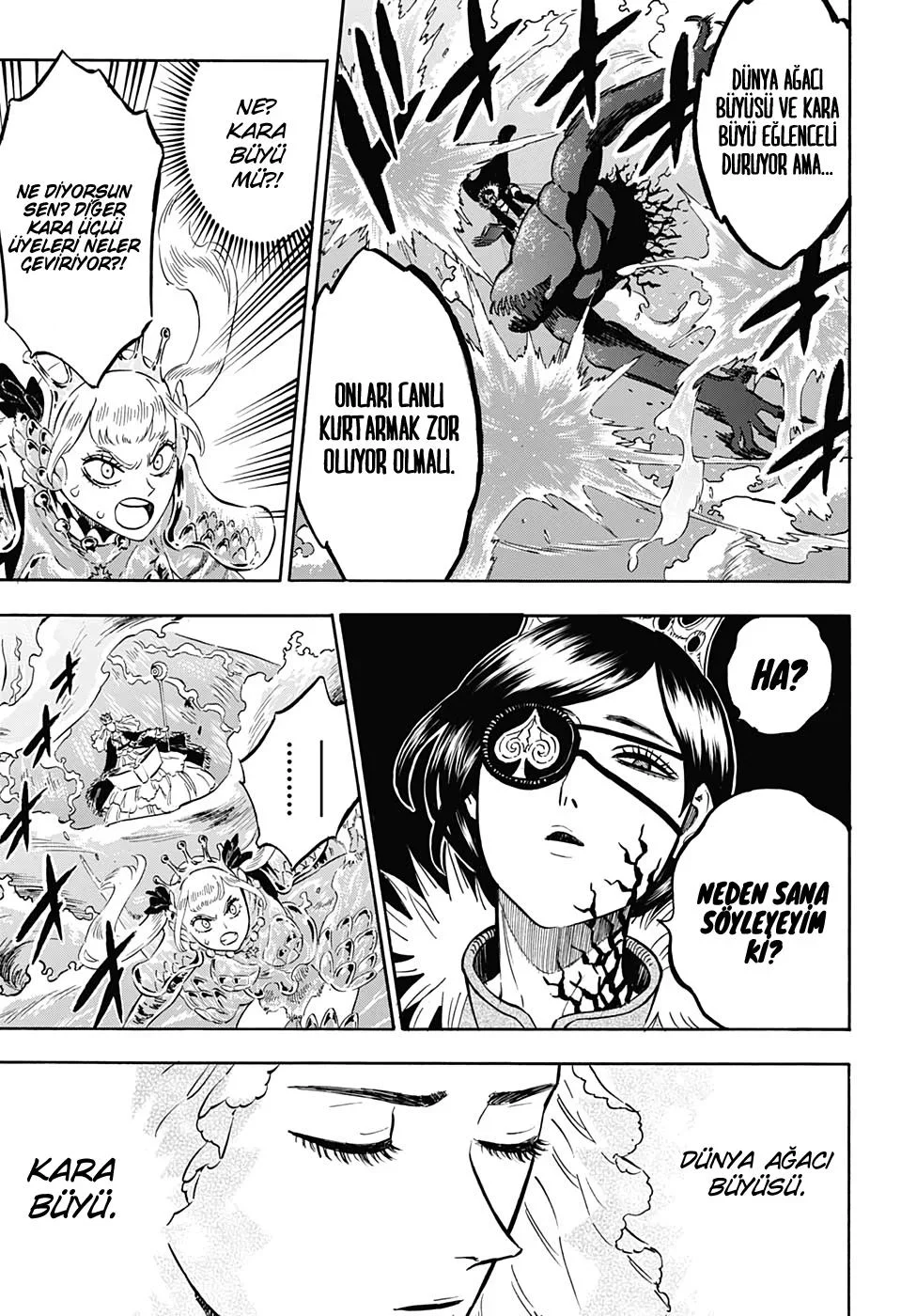 Black Clover - Bölüm 252 - Sayfa 8