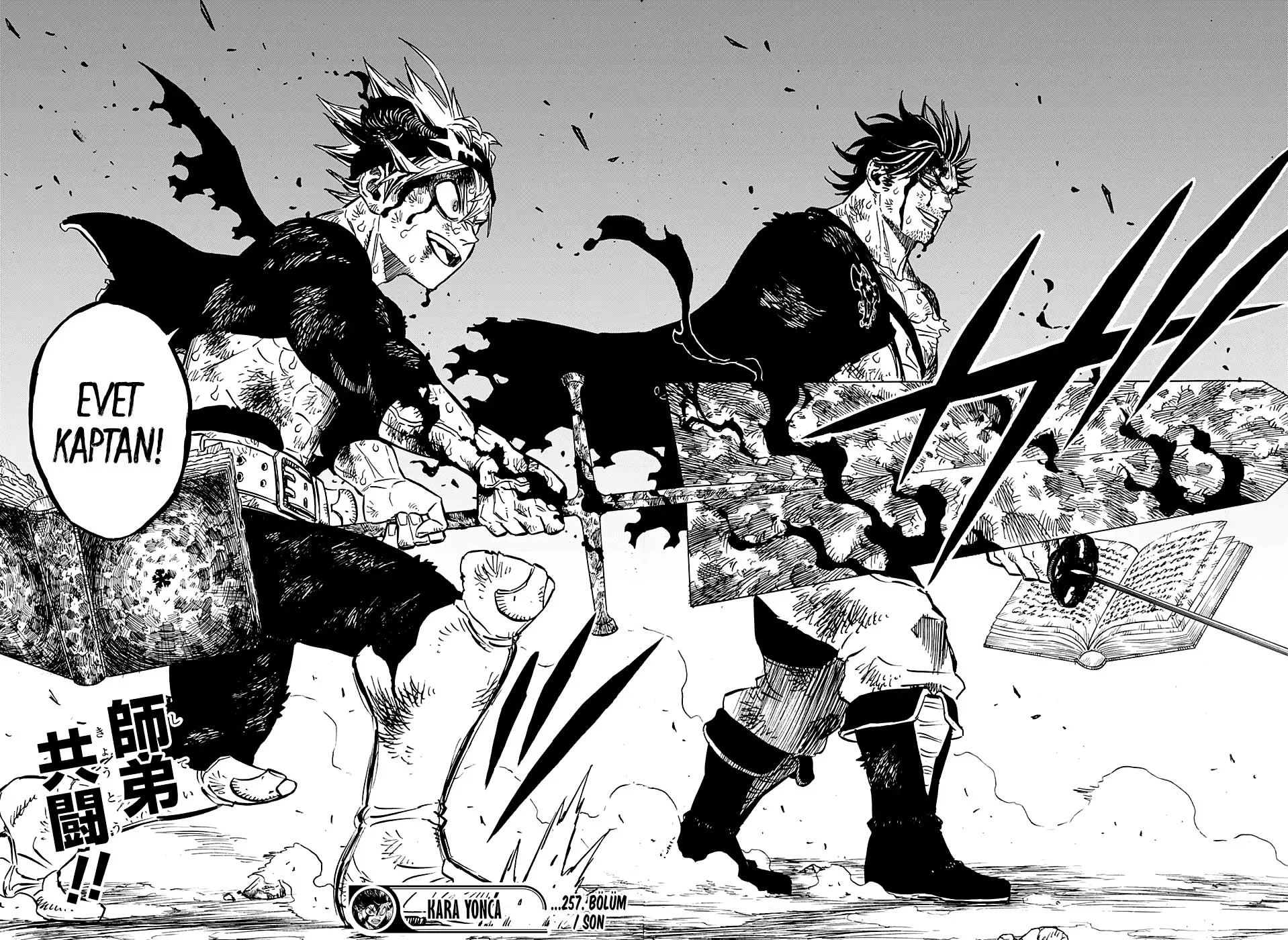 Black Clover - Bölüm 257 - Sayfa 13