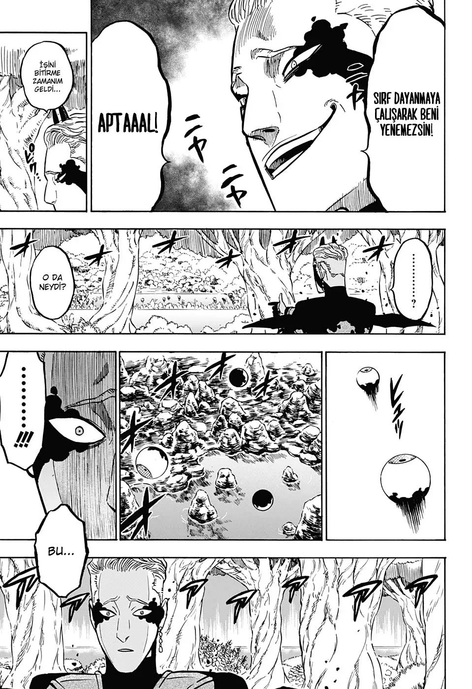 Black Clover - Bölüm 249 - Sayfa 12