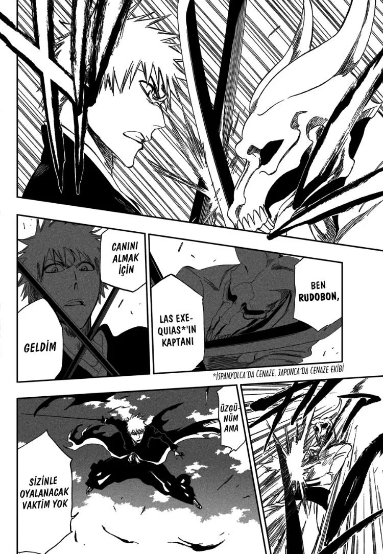 Bleach - Bölüm 317 - Sayfa 10