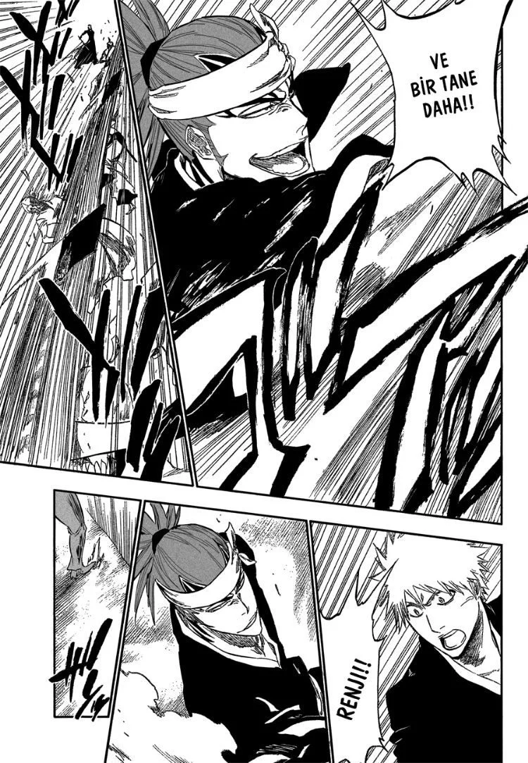 Bleach - Bölüm 317 - Sayfa 13