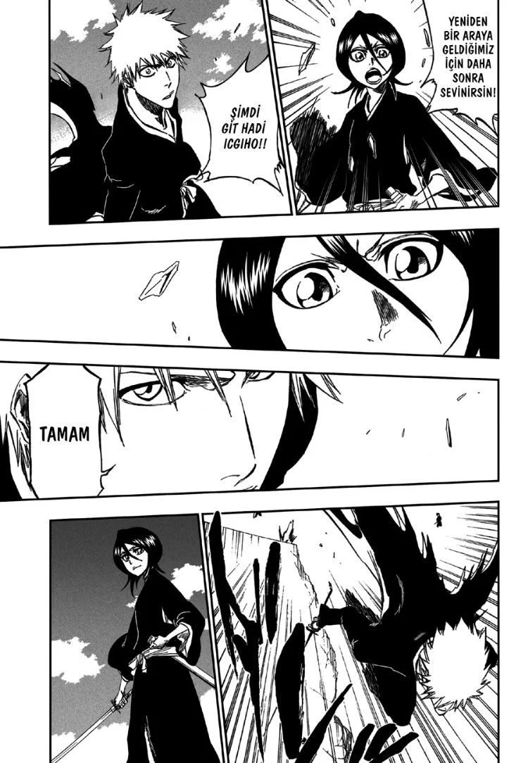Bleach - Bölüm 317 - Sayfa 17