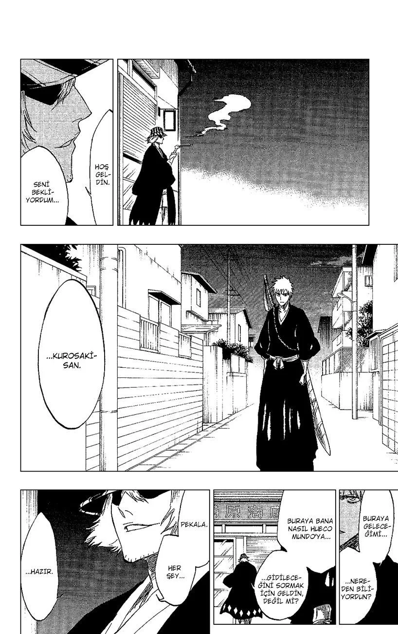 Bleach - Bölüm 239 - Sayfa 15