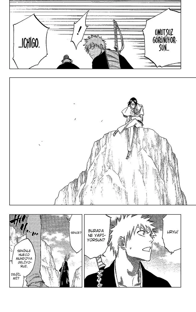 Bleach - Bölüm 239 - Sayfa 17