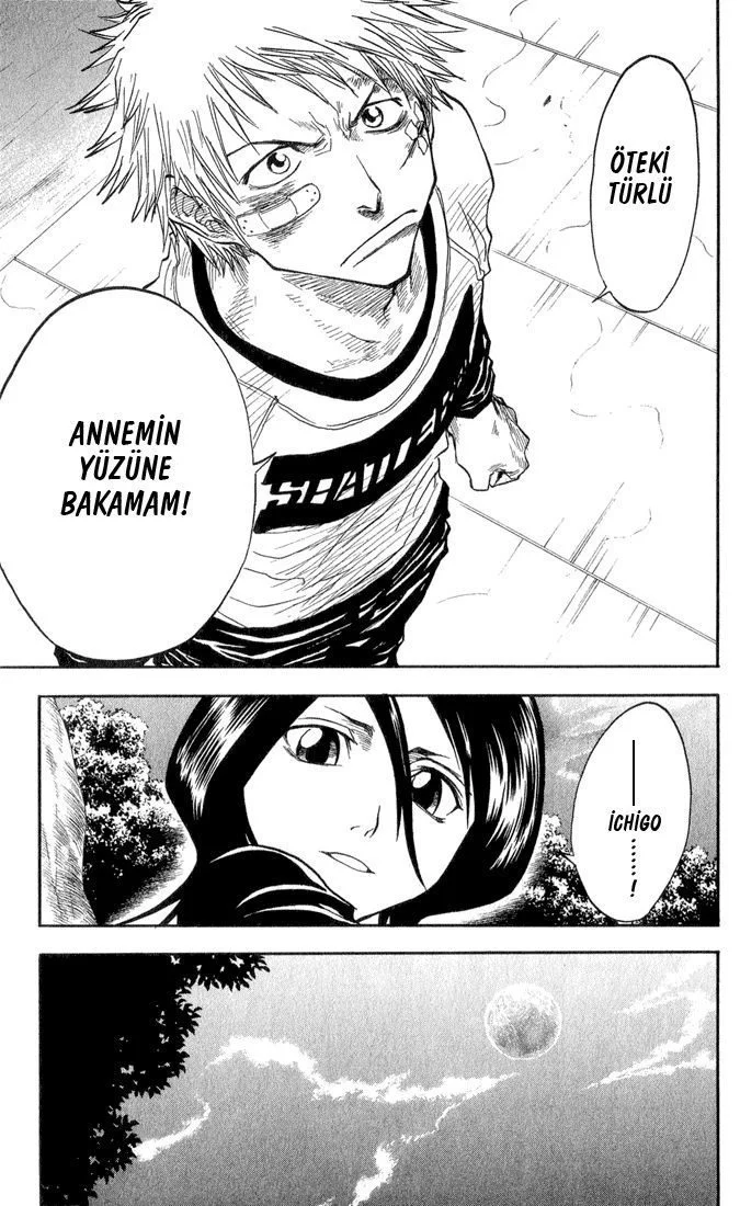 Bleach - Bölüm 25 - Sayfa 16