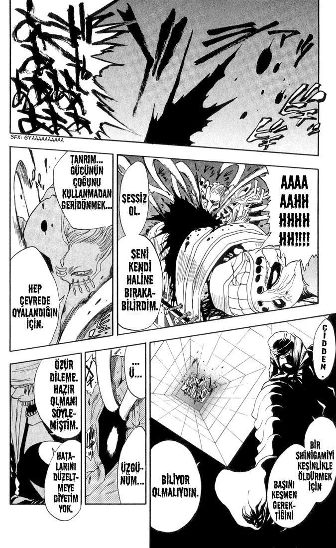 Bleach - Bölüm 25 - Sayfa 17