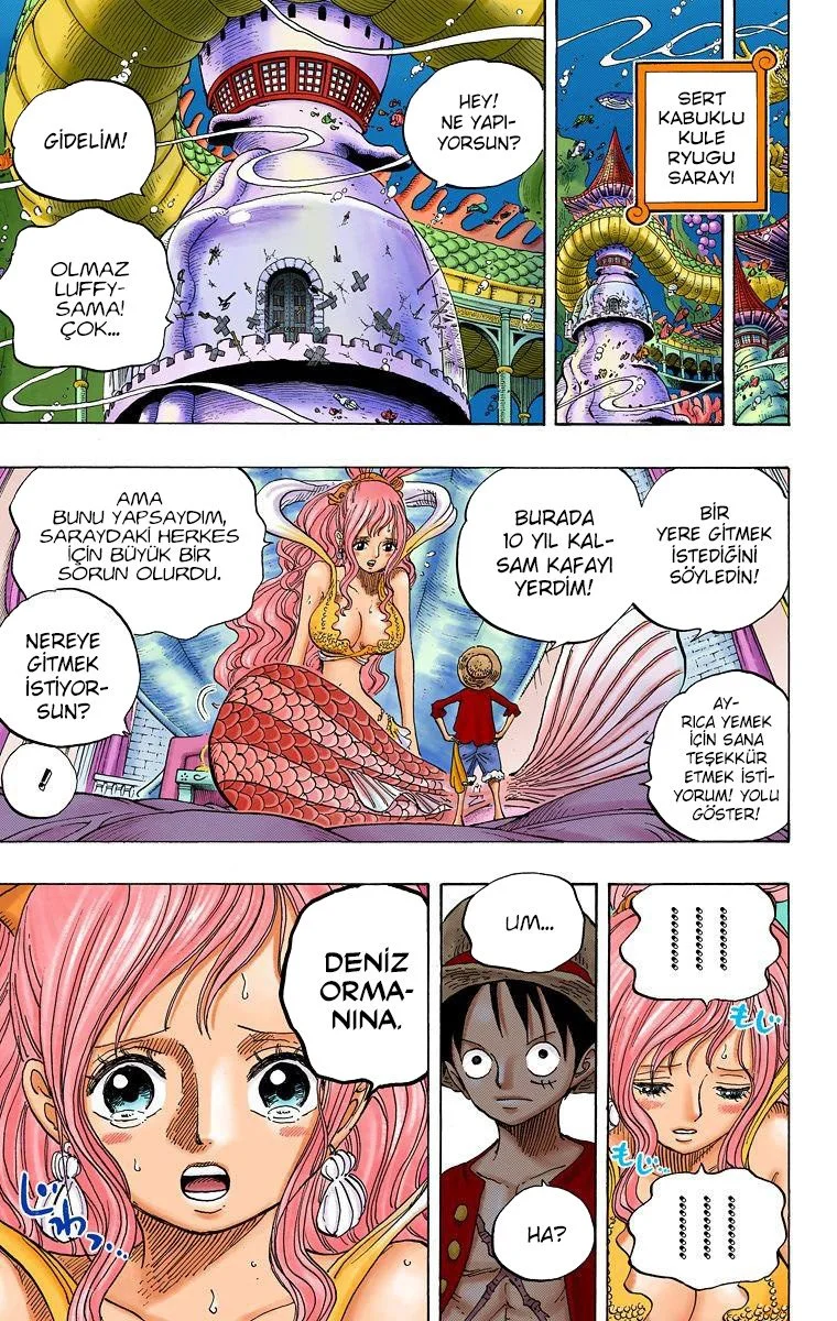 One Piece - Bölüm 614 - Sayfa 10