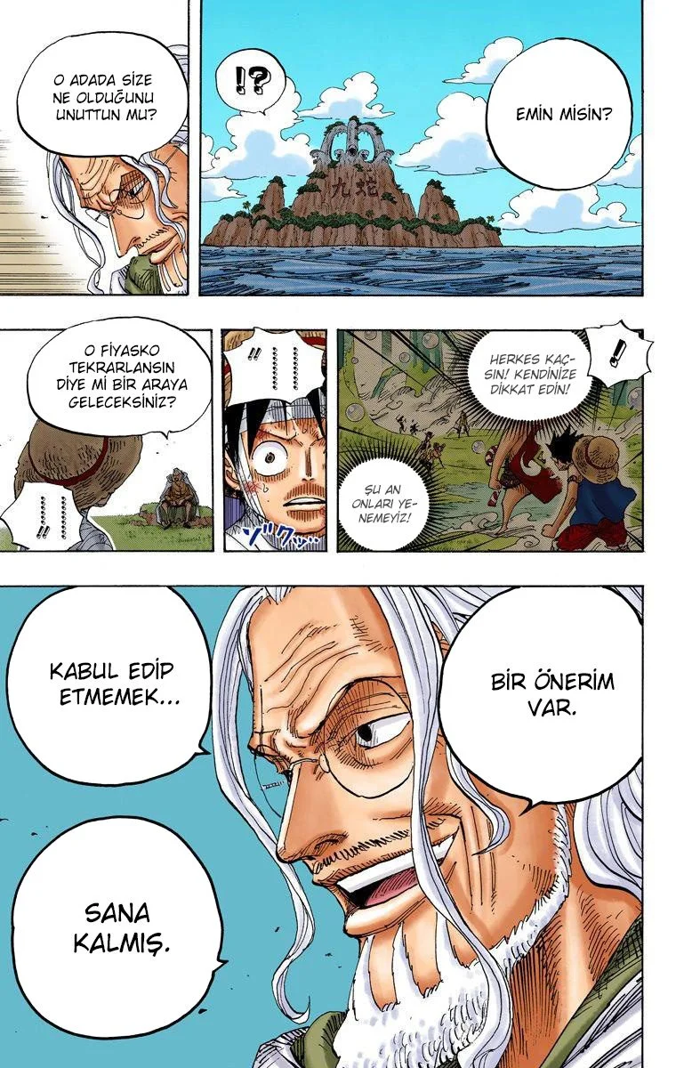 One Piece - Bölüm 591 - Sayfa 11