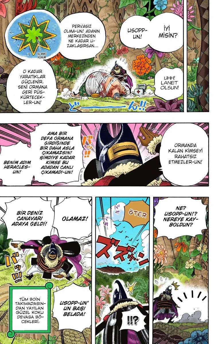 One Piece - Bölüm 591 - Sayfa 13
