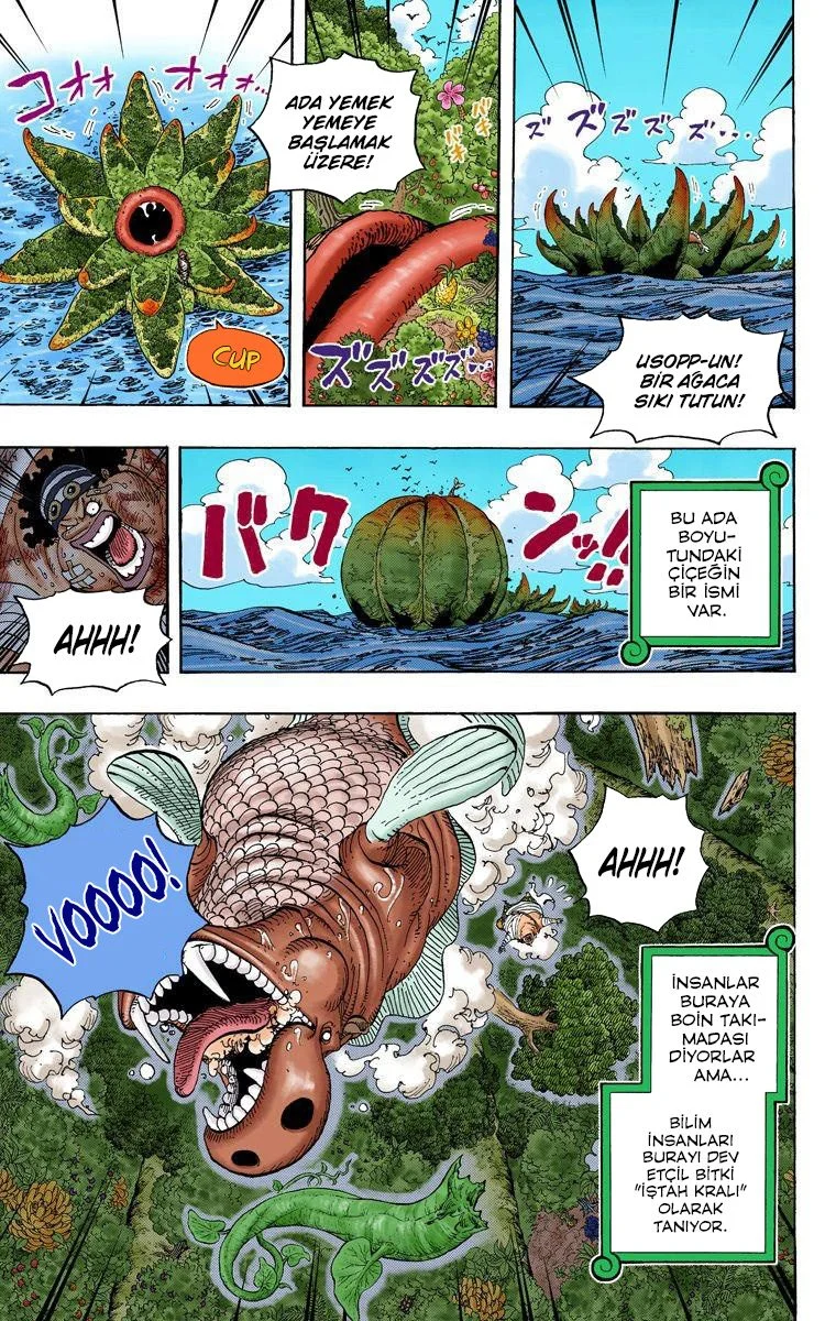 One Piece - Bölüm 591 - Sayfa 15