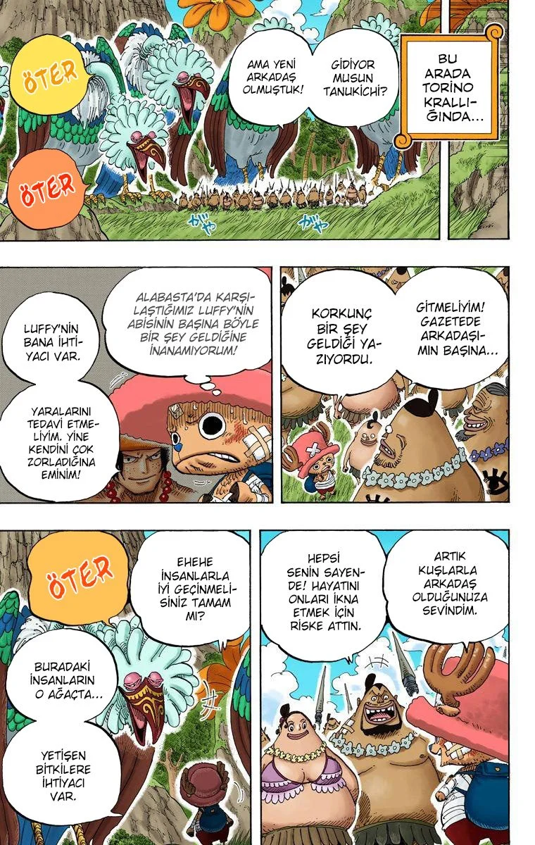 One Piece - Bölüm 591 - Sayfa 17