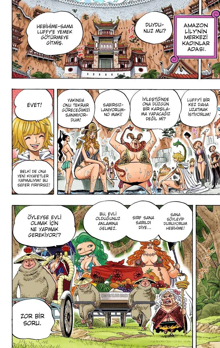 One Piece - Bölüm 591 - Sayfa 4