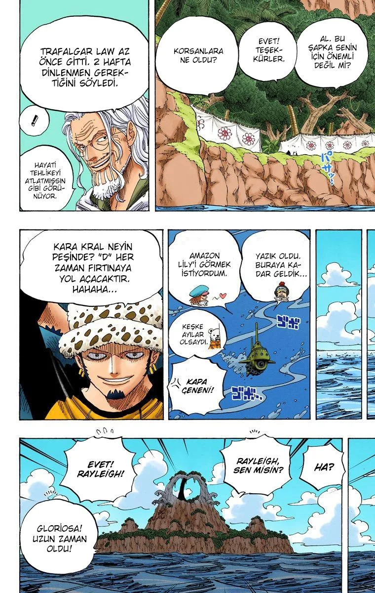 One Piece - Bölüm 591 - Sayfa 6