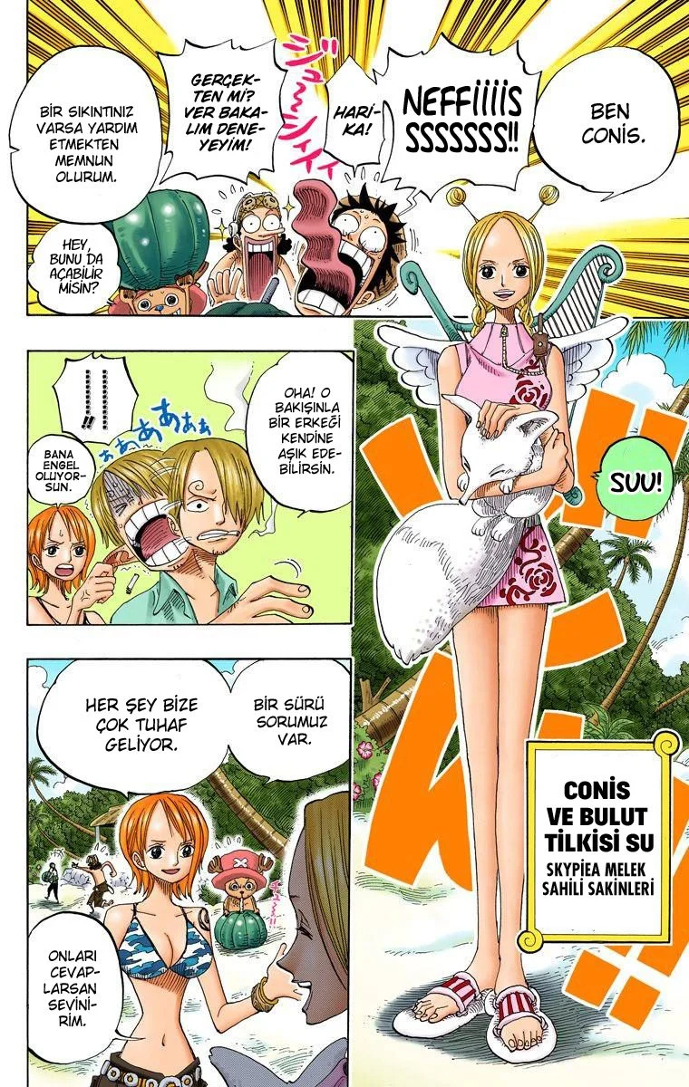 One Piece - Bölüm 239 - Sayfa 13