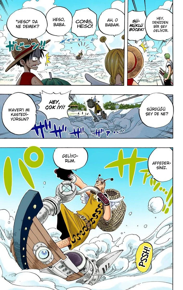 One Piece - Bölüm 239 - Sayfa 14