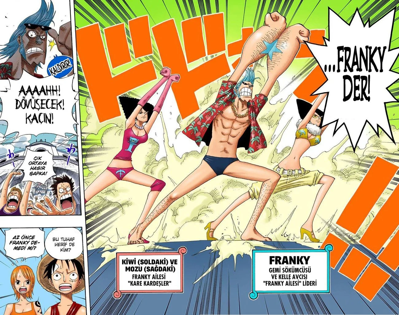 One Piece - Bölüm 335 - Sayfa 14