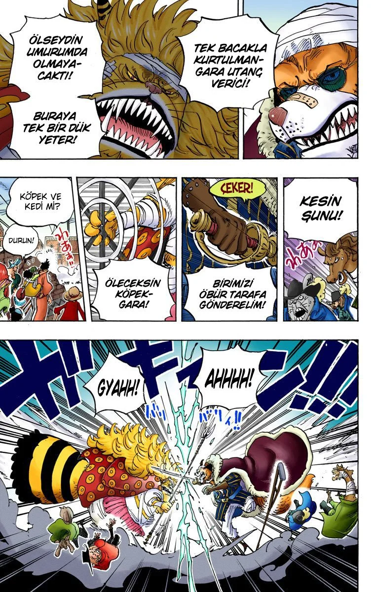 One Piece - Bölüm 816 - Sayfa 11