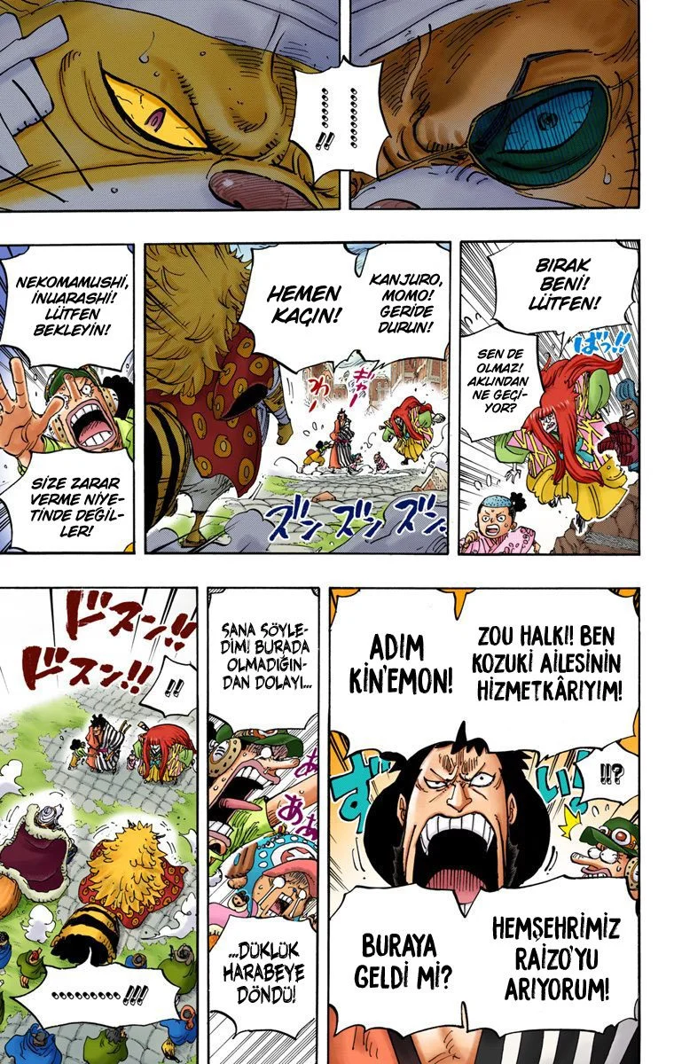 One Piece - Bölüm 816 - Sayfa 13