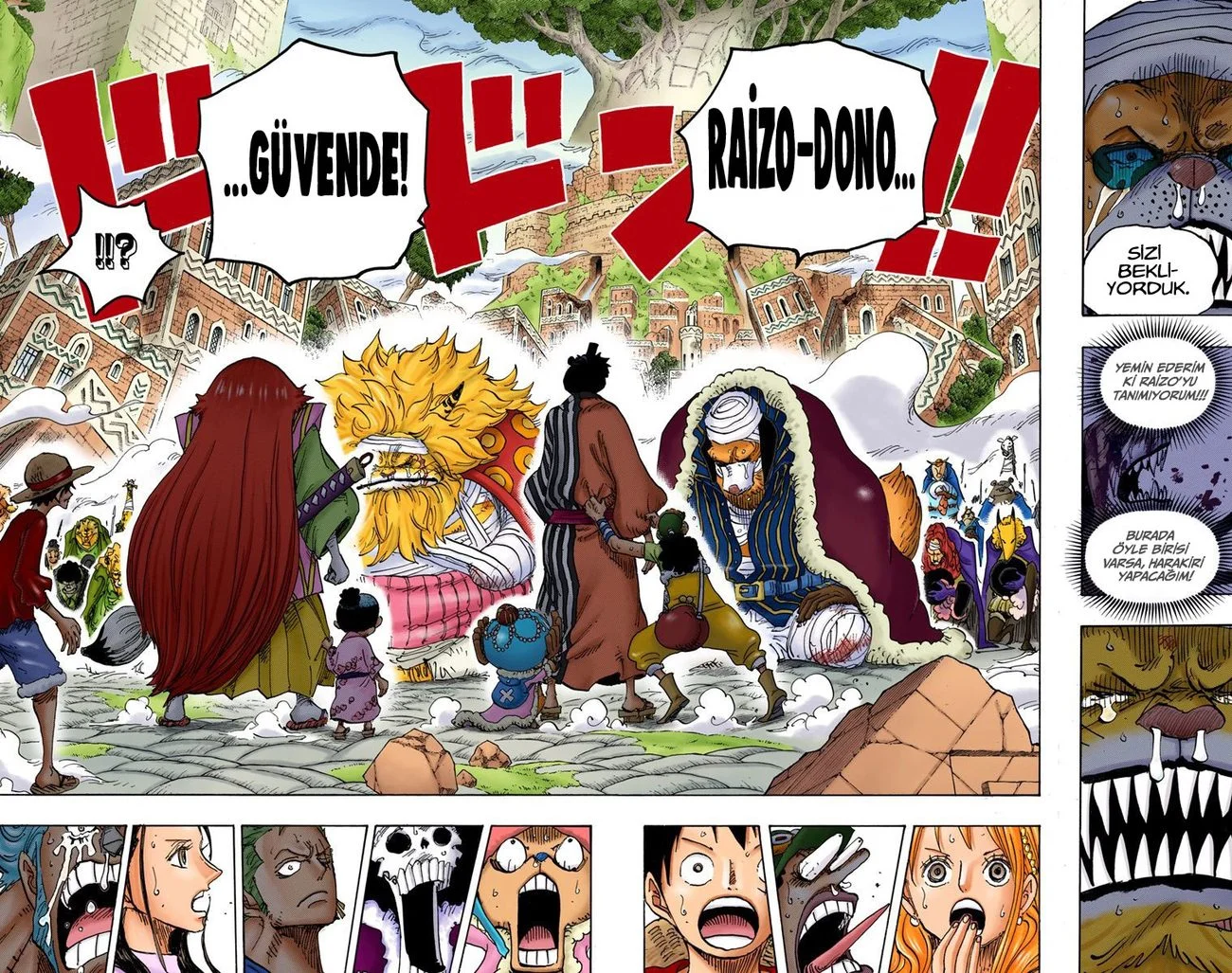 One Piece - Bölüm 816 - Sayfa 14