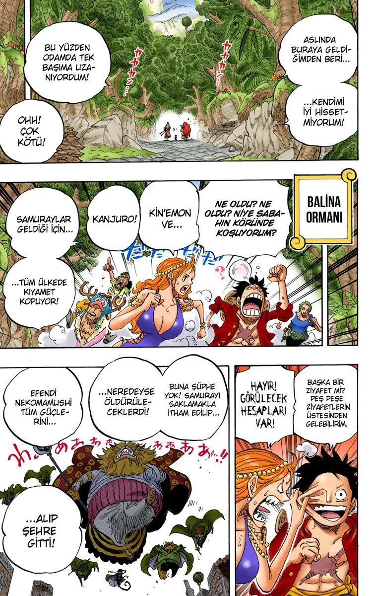 One Piece - Bölüm 816 - Sayfa 5