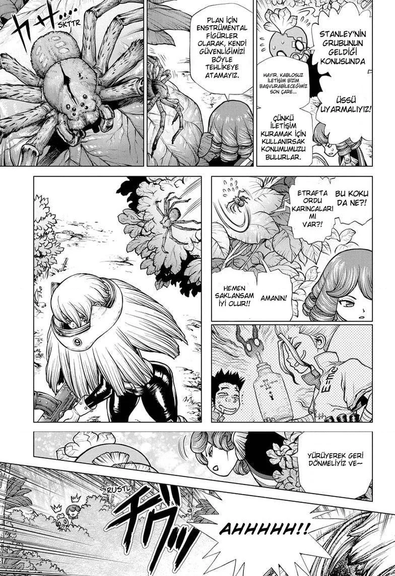 Dr. Stone - Bölüm 185 - Sayfa 12