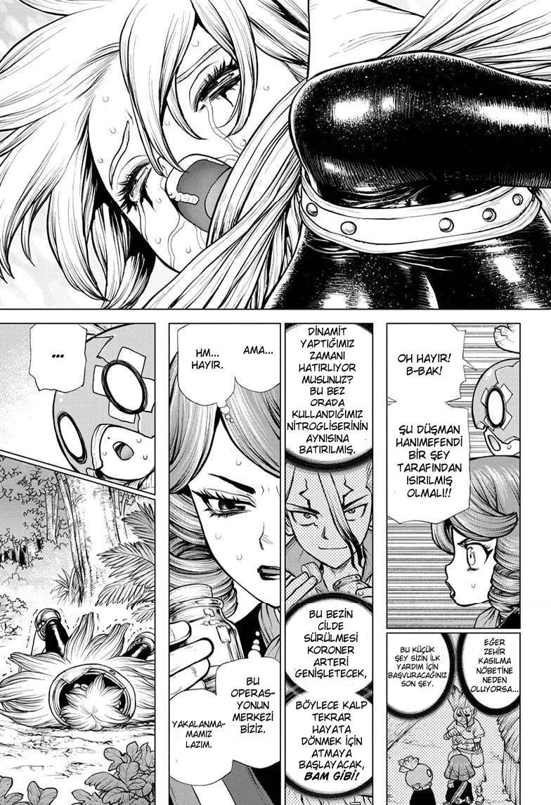 Dr. Stone - Bölüm 185 - Sayfa 14