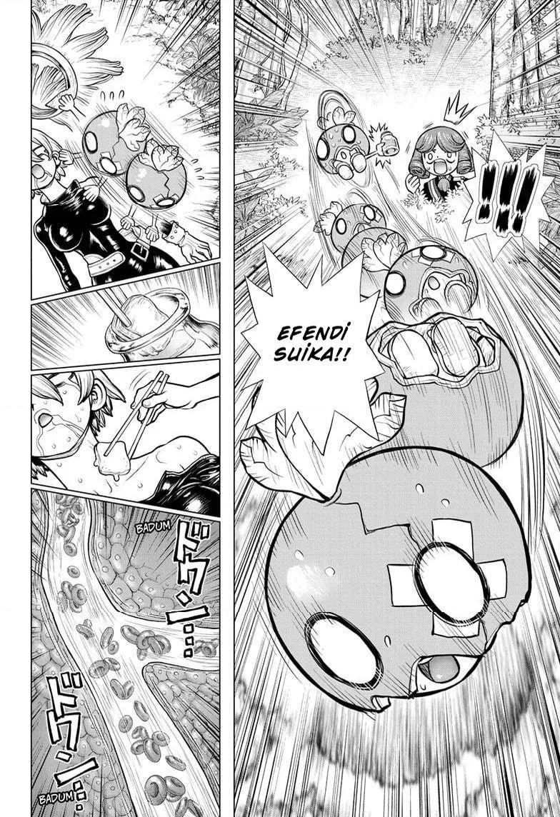 Dr. Stone - Bölüm 185 - Sayfa 15