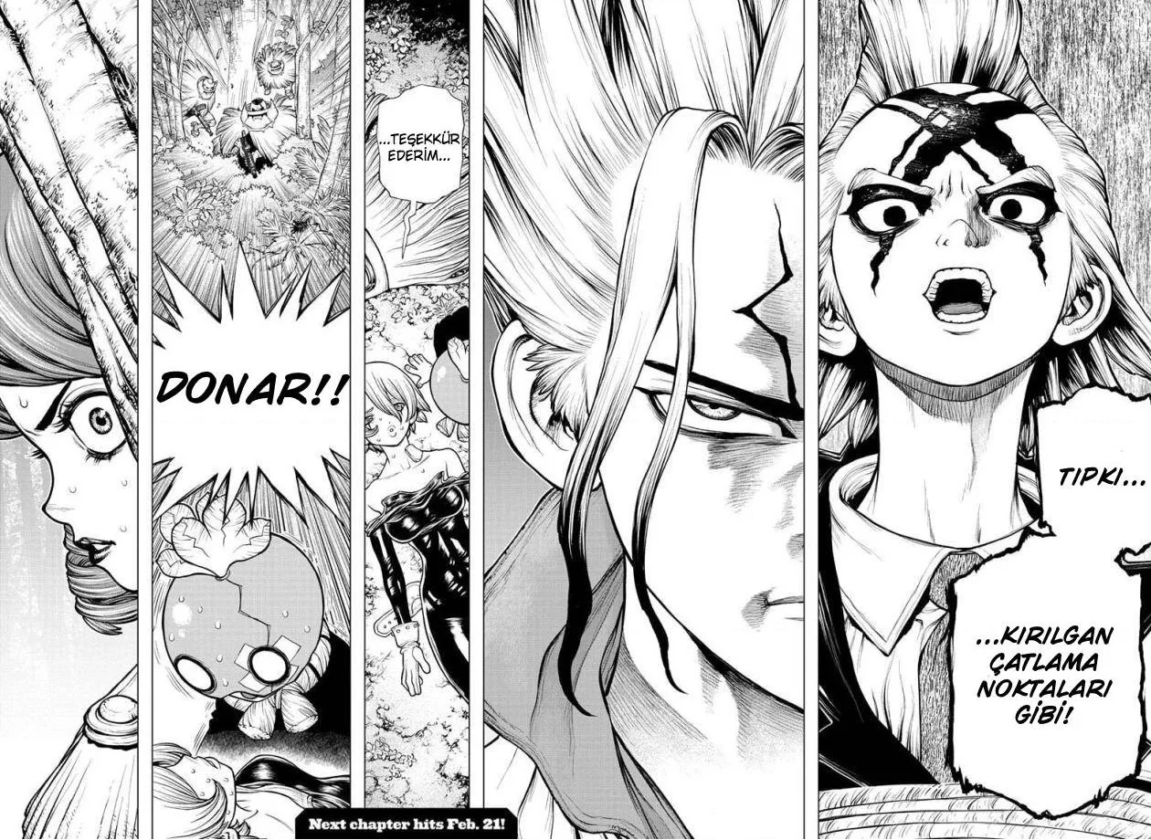 Dr. Stone - Bölüm 185 - Sayfa 17