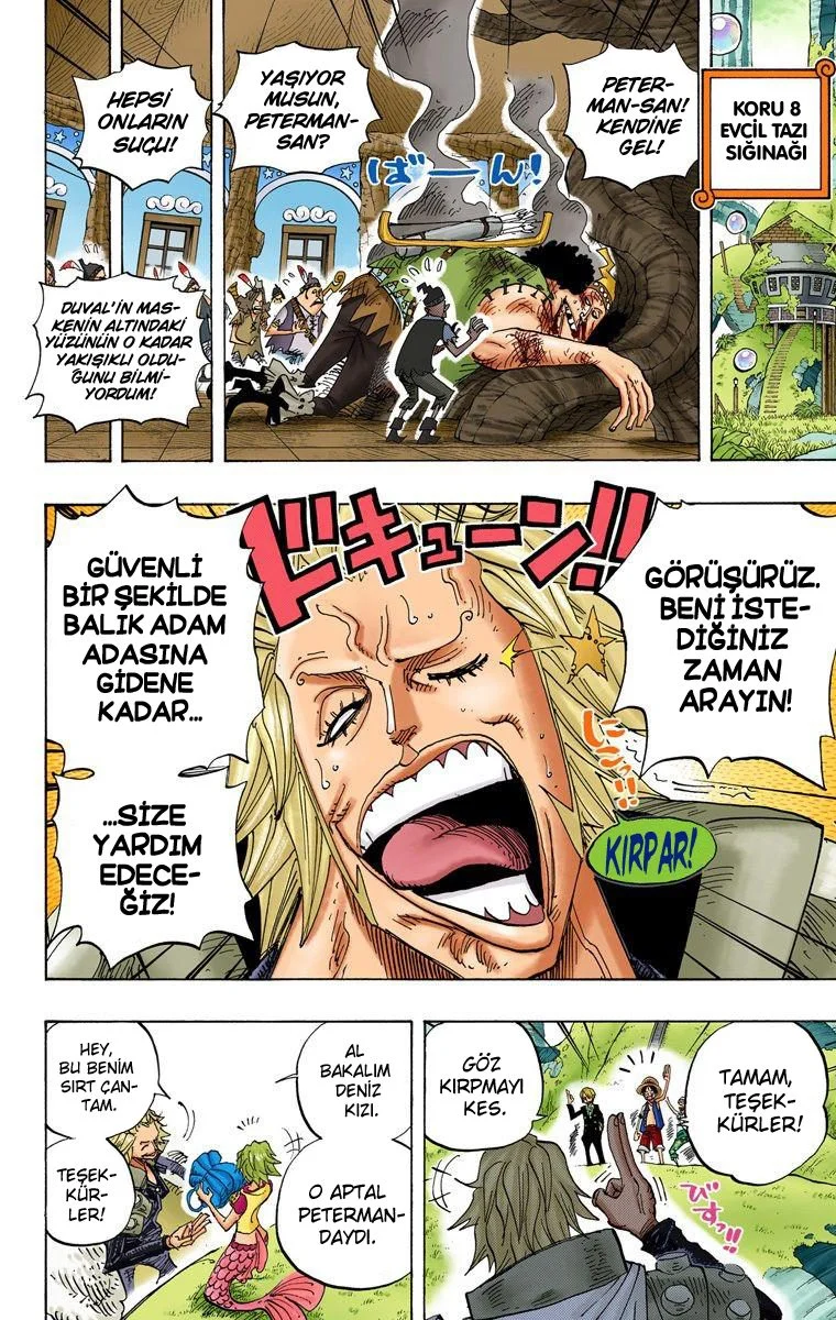 One Piece - Bölüm 506 - Sayfa 6