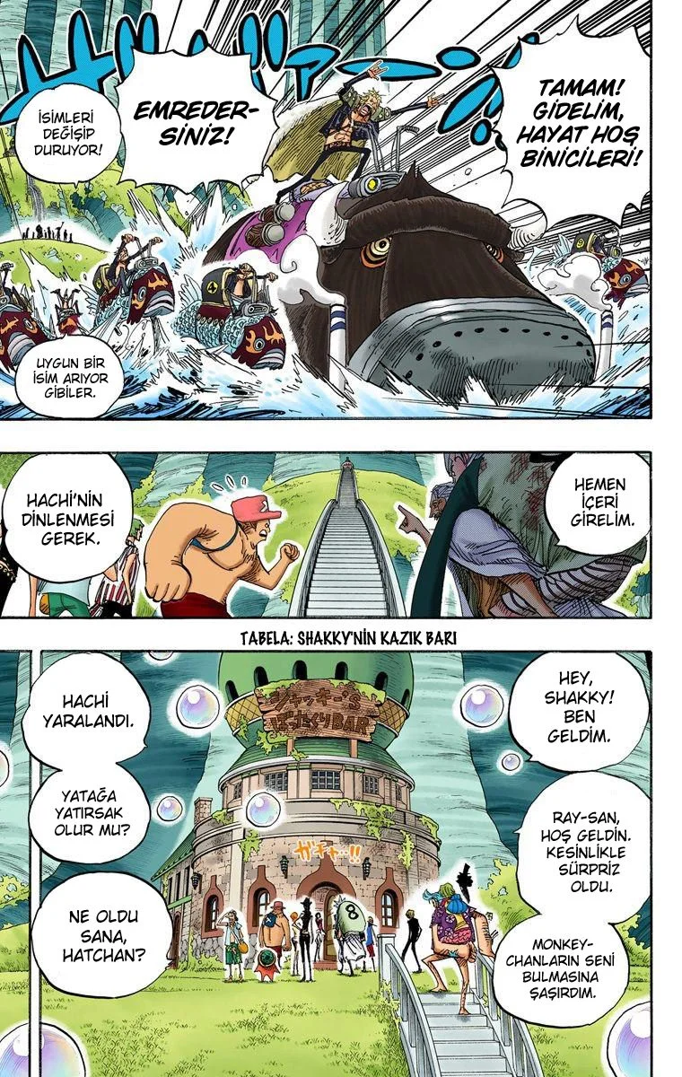 One Piece - Bölüm 506 - Sayfa 7
