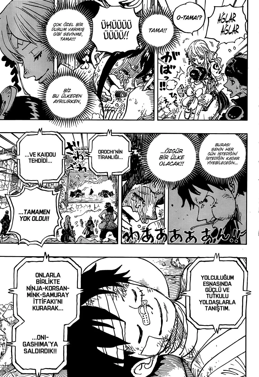 One Piece - Bölüm 1051 - Sayfa 11