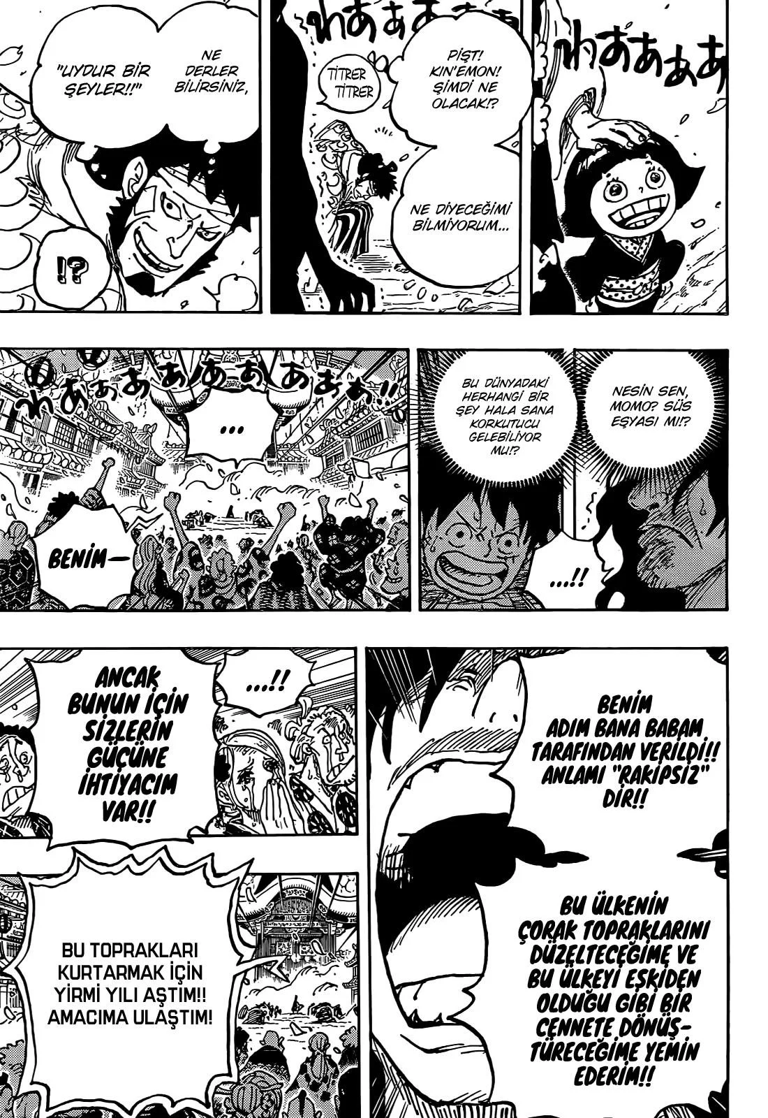 One Piece - Bölüm 1051 - Sayfa 13