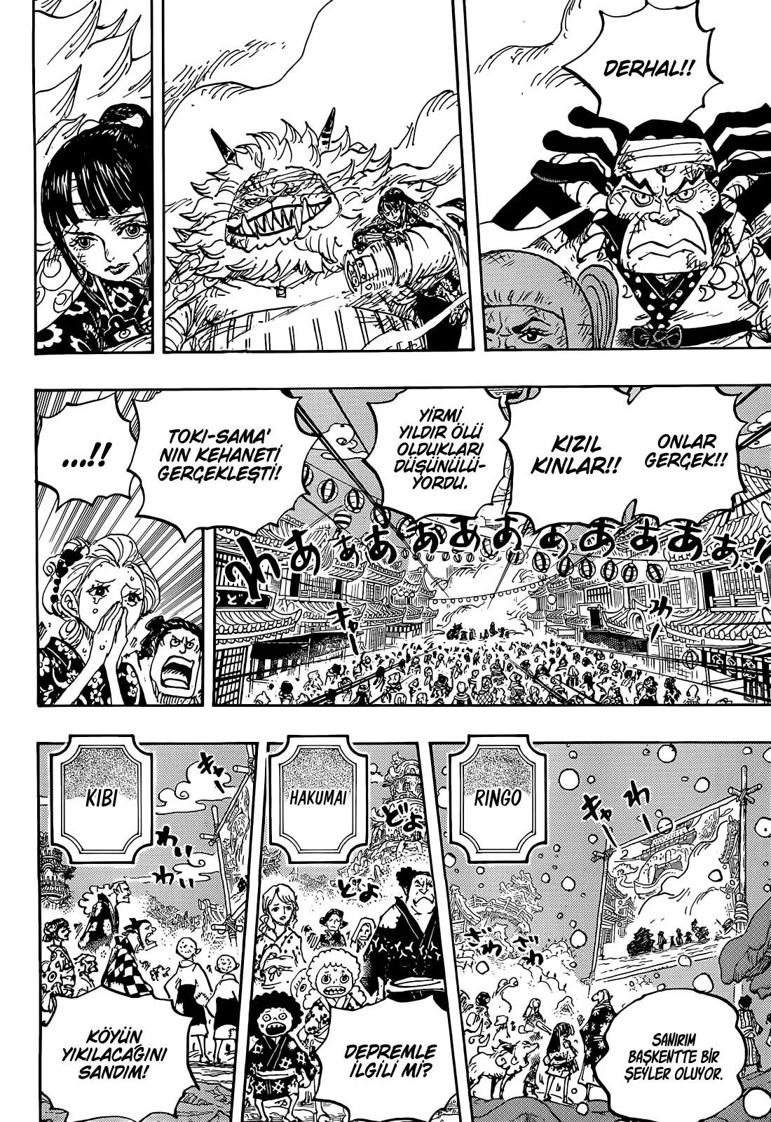 One Piece - Bölüm 1051 - Sayfa 4