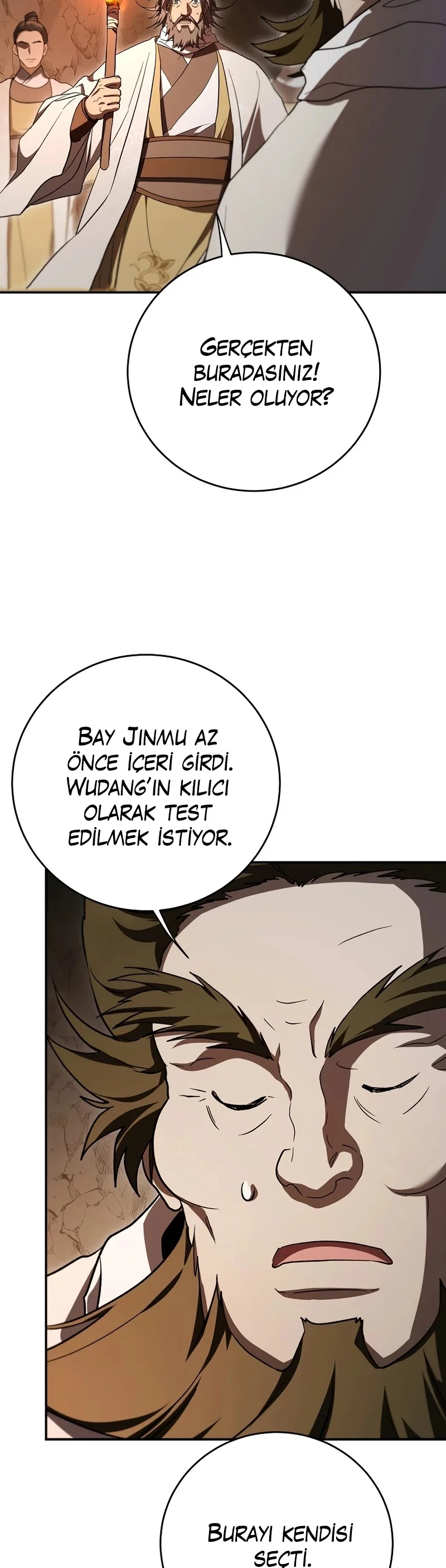 Wandering Warrior of Wudang - Bölüm 159 - Sayfa 19