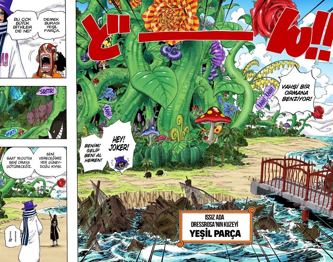 One Piece - Bölüm 710 - Sayfa 11