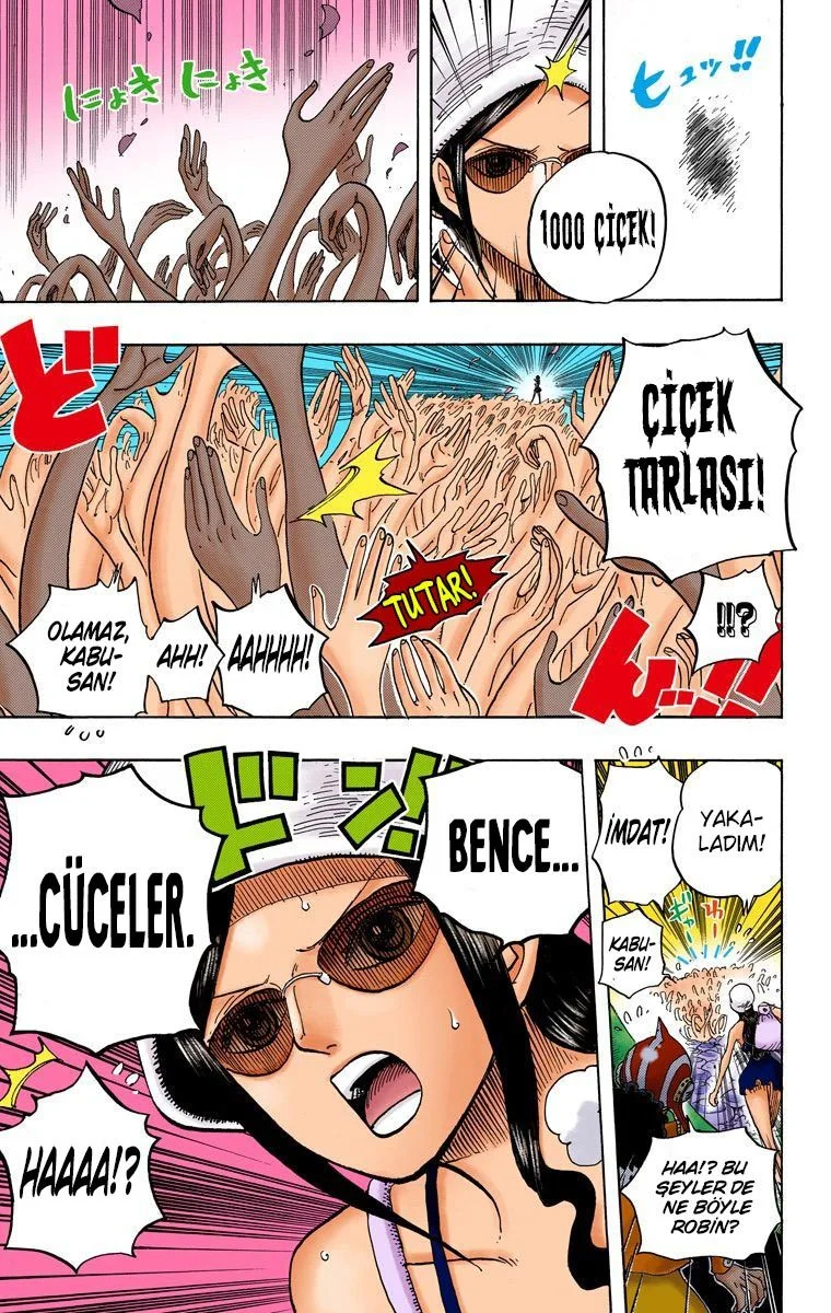 One Piece - Bölüm 710 - Sayfa 17