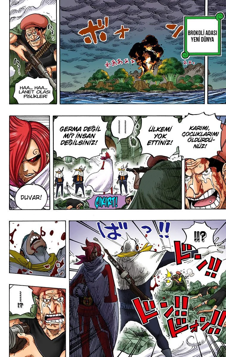 One Piece - Bölüm 828.1 - Sayfa 14