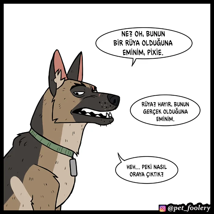 Pixie and Brutus - Bölüm 60 - Sayfa 4