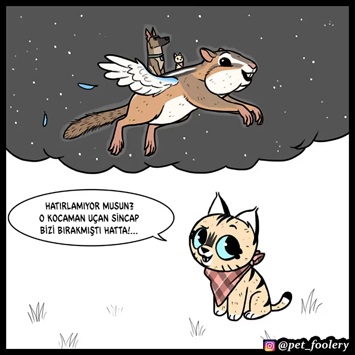 Pixie and Brutus - Bölüm 60 - Sayfa 5