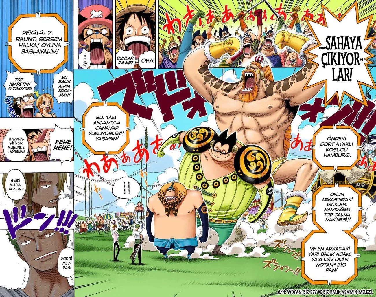 One Piece - Bölüm 309 - Sayfa 17
