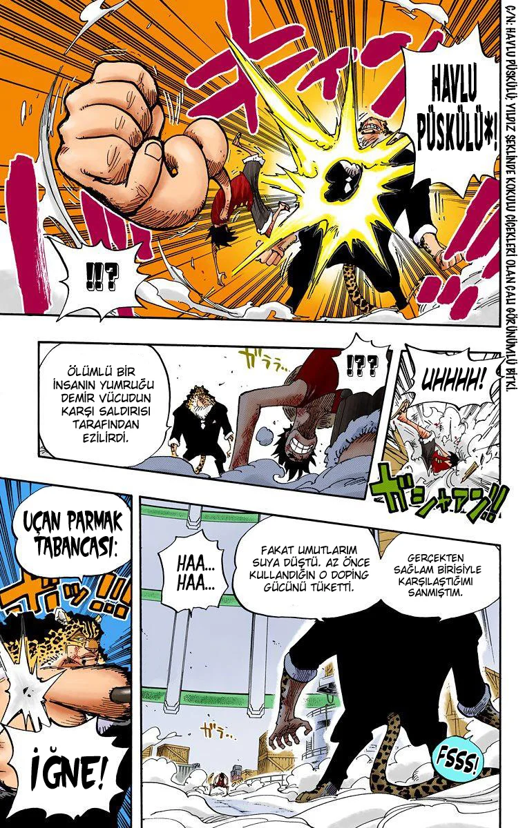 One Piece - Bölüm 421 - Sayfa 12