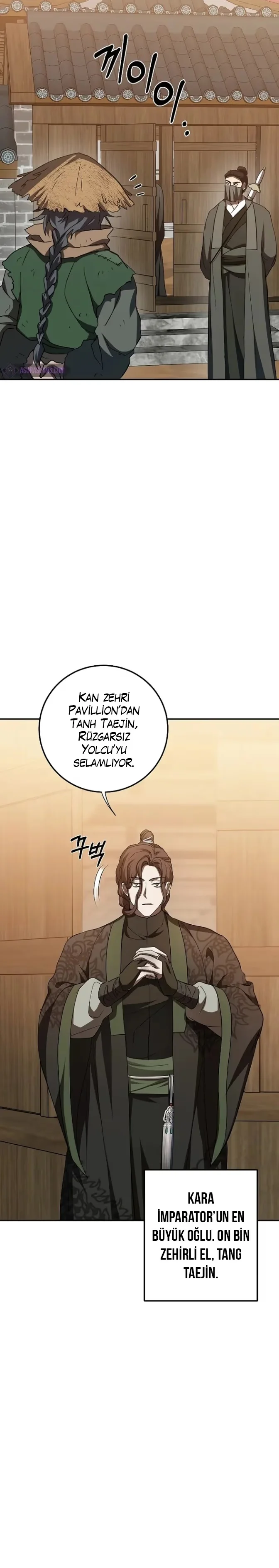 Wandering Warrior of Wudang - Bölüm 116 - Sayfa 12