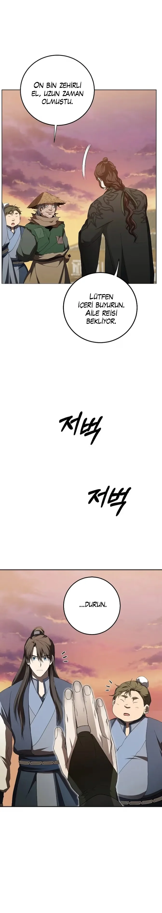 Wandering Warrior of Wudang - Bölüm 116 - Sayfa 13