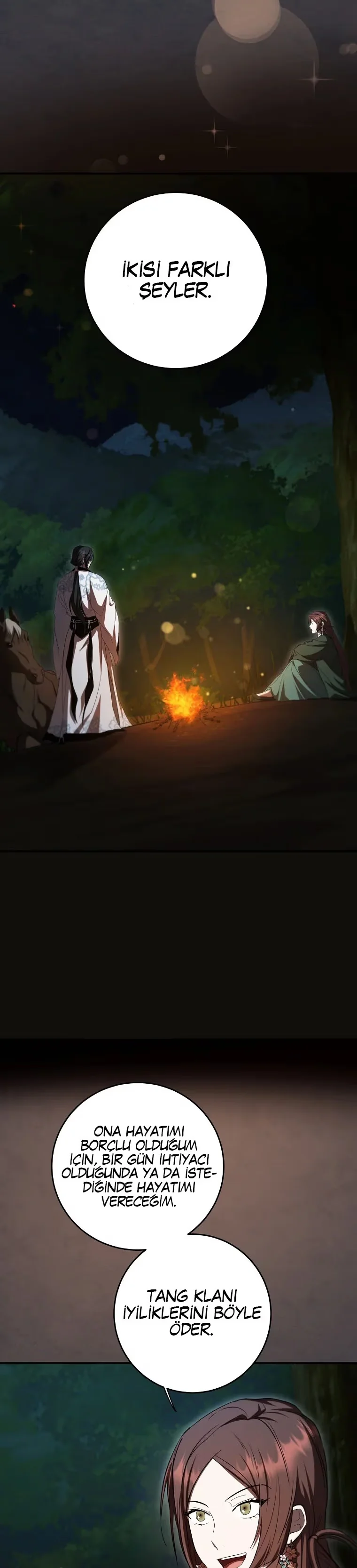 Wandering Warrior of Wudang - Bölüm 136 - Sayfa 6