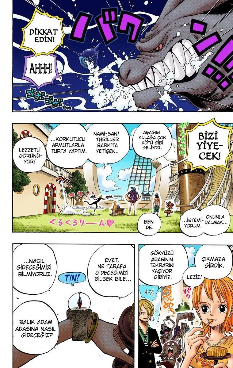 One Piece - Bölüm 490 - Sayfa 13