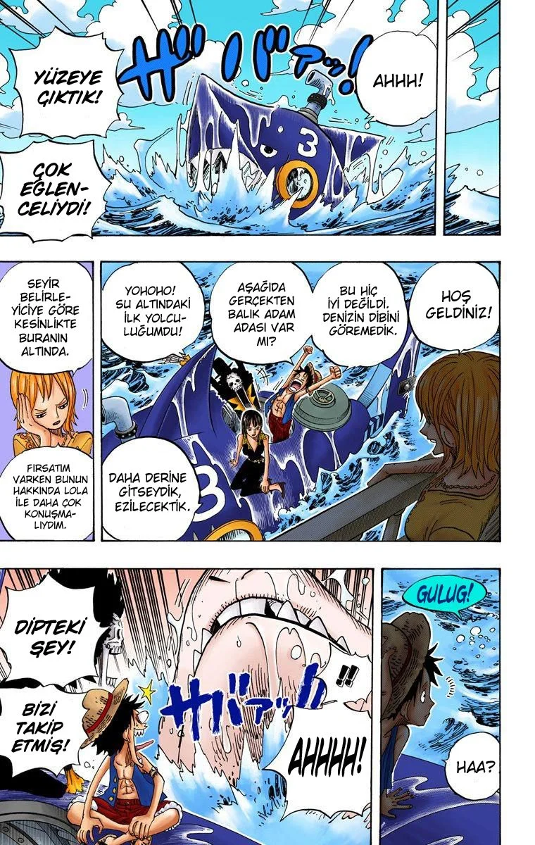 One Piece - Bölüm 490 - Sayfa 14